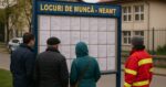 456 de locuri de munca disponibile in judetul Neamt 28 martie