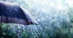 Atenionare meteo cod galben pentru precipitatii sub forma de ploaie si ninsoare in Neamt 29 30 martie