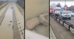 Cadavrul unui barbat gasit in canalul de evacuare al raului Bistrita in Piatra Neamt