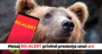 Mesaj RO ALERT despre prezenta unui urs in Neamt 25 aprilie