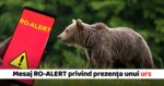 Mesaj RO ALERT referitor la prezenta unui urs in Neamt 29 aprilie