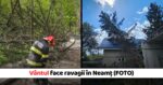 Vantul cauzeaza distrugeri in Neamt Interventii multiple ale pompierilor FOTO