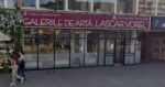 Artistul Romeo Ionescu se intoarce la Galeriile de Arta Lascar Vorel cu expozitia Padurea uitata
