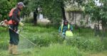 Se incheie cositul in Maratei Lucrari la spatiile verzi in diverse zone din Piatra Neamt
