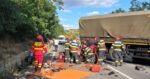 Trei persoane din Germania printre care un copil de 3 ani decedate intr un accident tragic in Mures