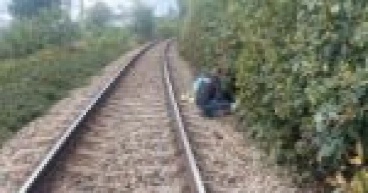 Bărbat lovit mortal de un tren în Neamț, în timp ce culegea nuci